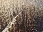 DSC_0079.JPG
