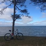 IMG_20200401_110906.jpg