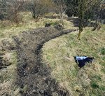 20200405_155311.jpg