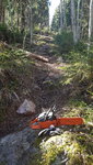 20200403_145117.jpg