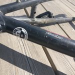 IMG_20200513_131716.jpg