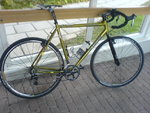 DSC00232.JPG