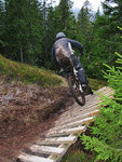 IMG_0159skogsmysen.jpg