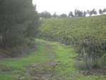 sicilien070311.JPG