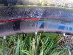IMG_20200712_180812_6.jpg