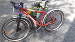 20200801_152742.jpg