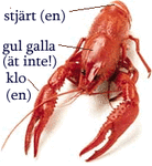 krafta.gif