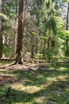 2f98c358-4894-4554-8e15-24f1ec2895ea.gif