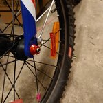 DSC_1982.JPG