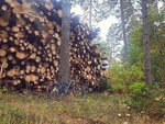 IMG_20201003_132044_763.jpg
