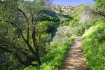 Jesusita Trail.jpg