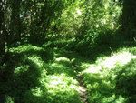 On trail 3.jpg