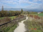 DSC00562.jpg