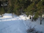 IMG_2319.JPG
