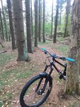 IMG_20201006_172838045.jpg