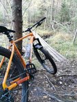 IMG_20201009_165448.jpg