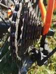 IMG_20201018_110953.jpg