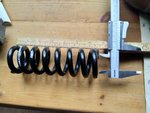 IMG_20201022_122347.jpg