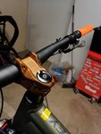IMG_20201029_191301.jpg