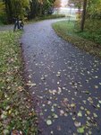 20201030_072602.jpg