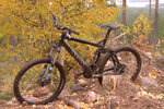 Canyon-Nerve-es-6-0.jpg
