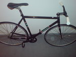 DSC00565.JPG