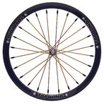 topo.jpg