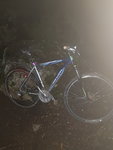 20201220_155354.jpg