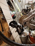 20201222_190137.jpg