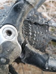 20201225_151646.jpg