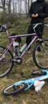 3582E057-CE23-4B9E-905D-0FEE7AF9708D.png