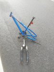 IMG_20201030_135843.jpg