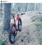 Screenshot_20210124-150821_Instagram.jpg