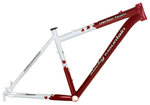 07-vertex-team.jpg