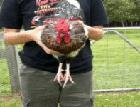 F7D3F8F1-F6AF-4C23-AC14-9CDC026319D9.gif