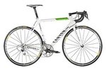 Ultimate CF pro 7.0.jpg