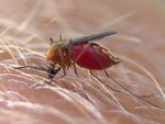 IMG_1170.JPG