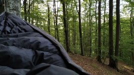 IMG_20200807_063831.jpg