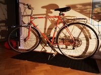 IMG_20210331_193326.jpg