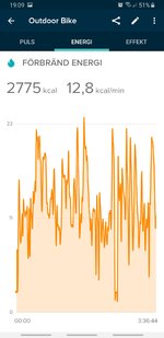 Screenshot_20210406-190906_Fitbit.jpg