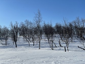 DD06C66D-A0A4-4009-843E-47A380226D79.jpeg
