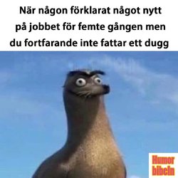 14BF0BF0-50C8-40A9-914F-12B65542EB4B.jpeg