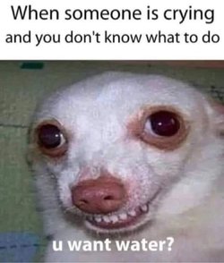75FEF07F-0C84-4FB1-A3E0-0622C6C44B58.jpeg