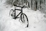 IMG_6616.jpg
