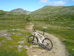 Fjällen Juli-Aug-07 072.jpg