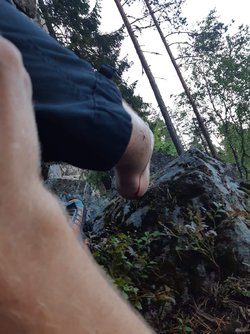 IMG_7557.JPG