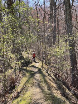 IMG_3515.jpg