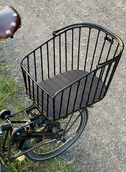 IMG_0794.jpeg