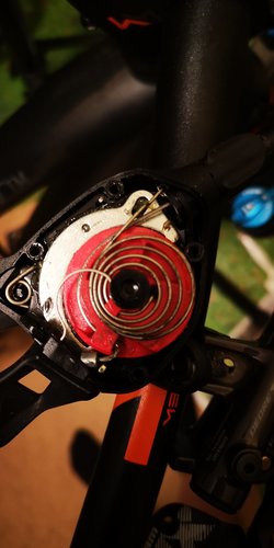 IMG_20210523_141318.jpg