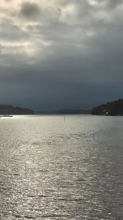 20210524_183305.jpg
